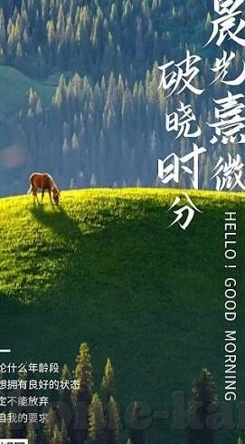 人妻av一区二区-家庭与个人界限的微妙平衡，人妻角色的多维视角